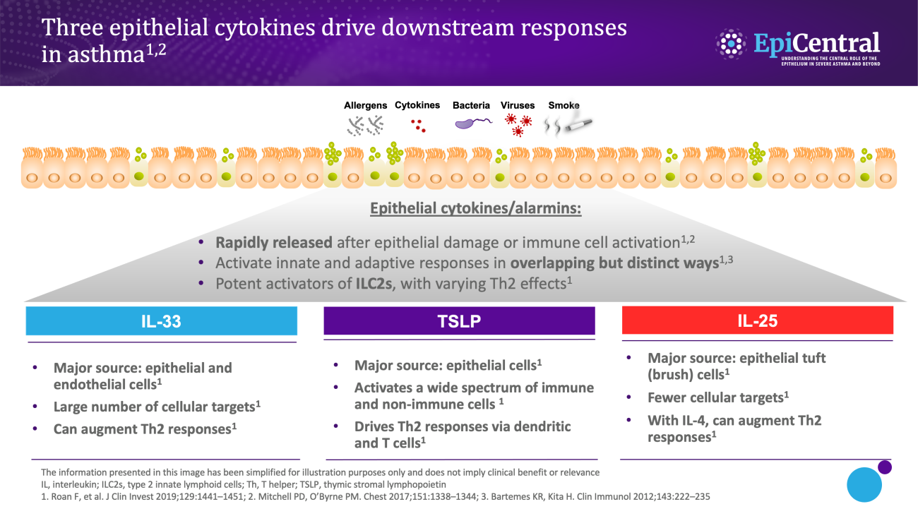 Epithelial Cytokines And The Inflammatory Cascade | AZ EpiCentral Global